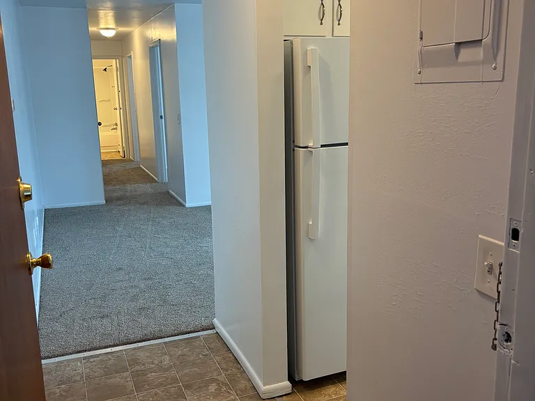 121 W William St #201 — Photo 4