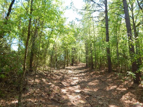 15 Fm 1795 #2, Big Sandy, TX 75755