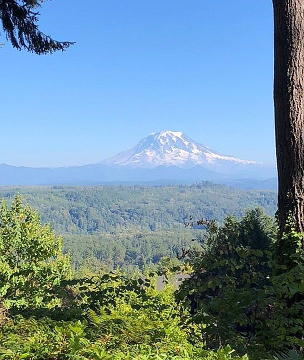 Yes! This is the view! 