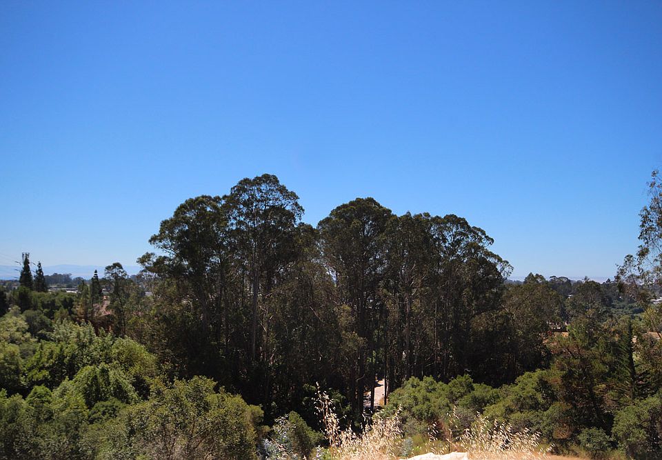 1st image of 0 Lupine Ln Lot 2