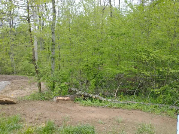 175 Pine Valley Ct, Nashville, IN 47448