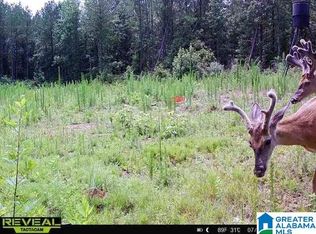 3653 Tabernacle Rd #0, Ethelsville, AL 35461