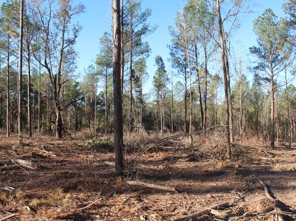 4 Mac Pate Rd, Cedarbluff, MS 39741