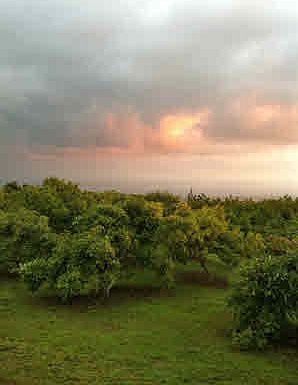 3rd image of 73-4615 Kohana Iki Homestead Rd Lot 5-B