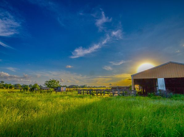 12971 E Fm 858, Ben Wheeler, TX 75754