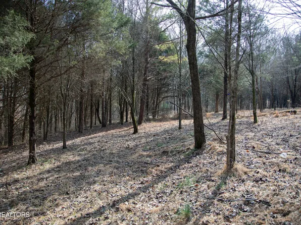 0 Tulip Ln, Cookeville, TN 38501