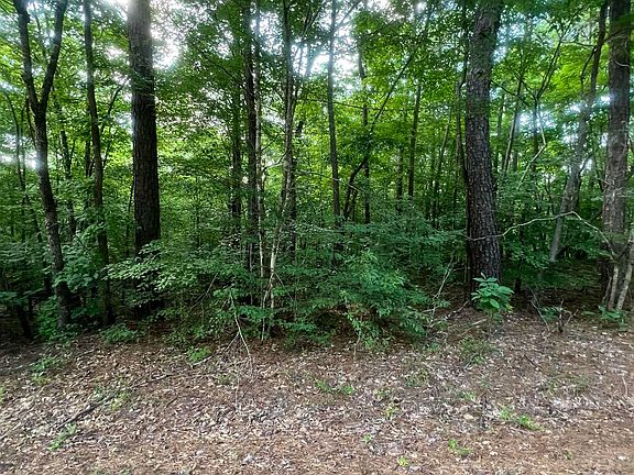 5th image of 0 Andrew Jackson Rd #19