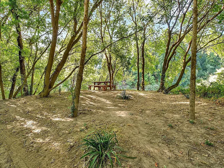15373 River Rd — Photo 30