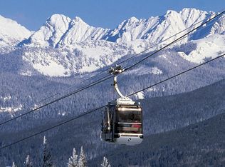 394 Beaver Dam Rd, Vail, CO 81657