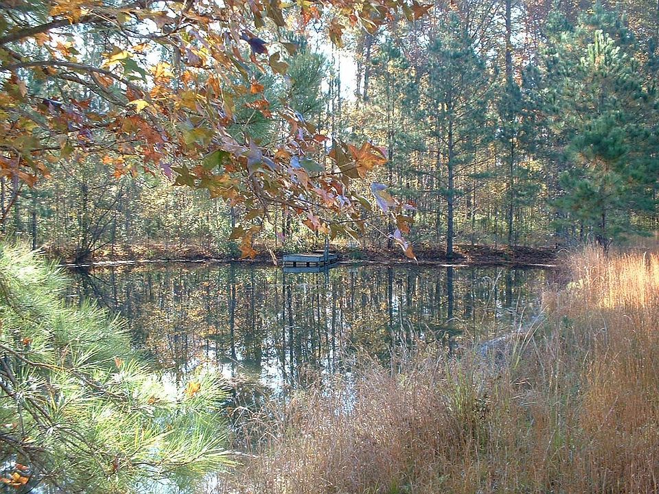 Pond