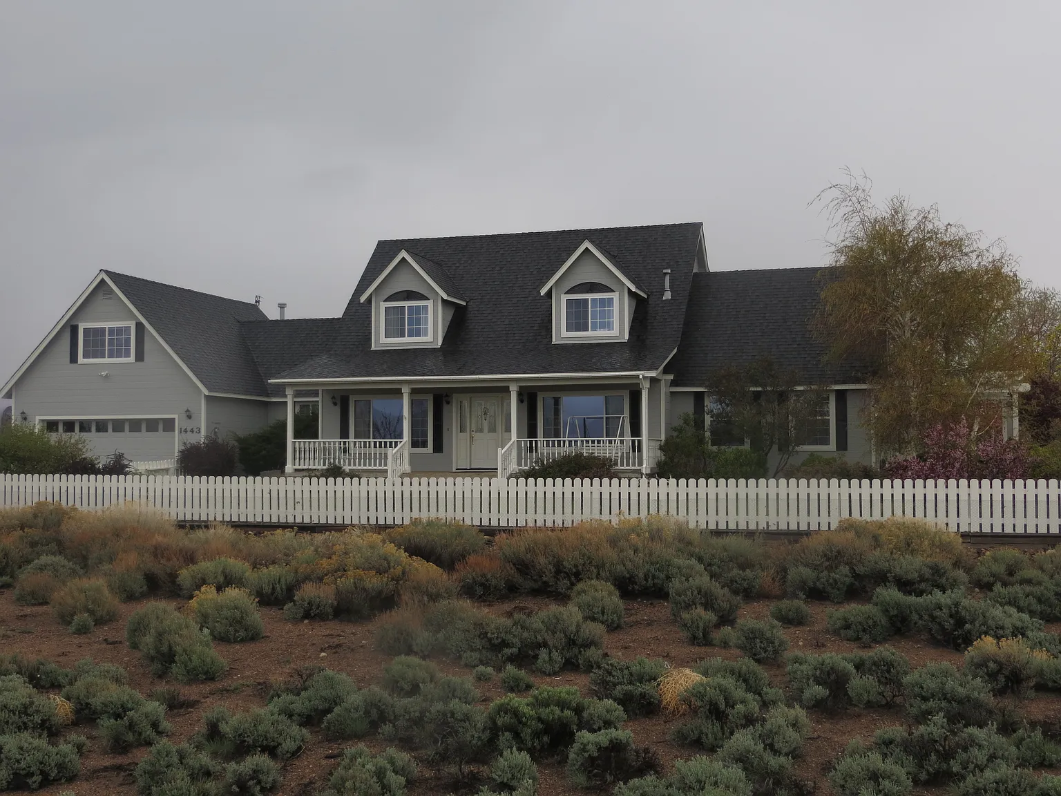 1443 Rabbitbrush Dr photo 1