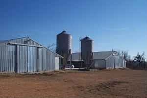3 Broiler house 