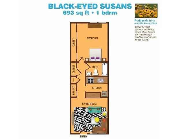 Floor plan Black-Eyed Susan