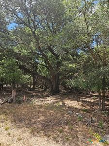 Red Dog Ct, Belton, TX, 76513