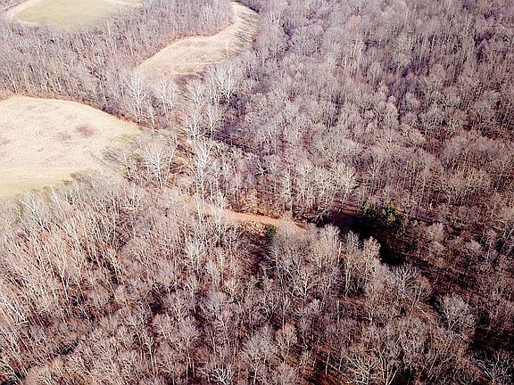 5th image of 36025 Township Road 68