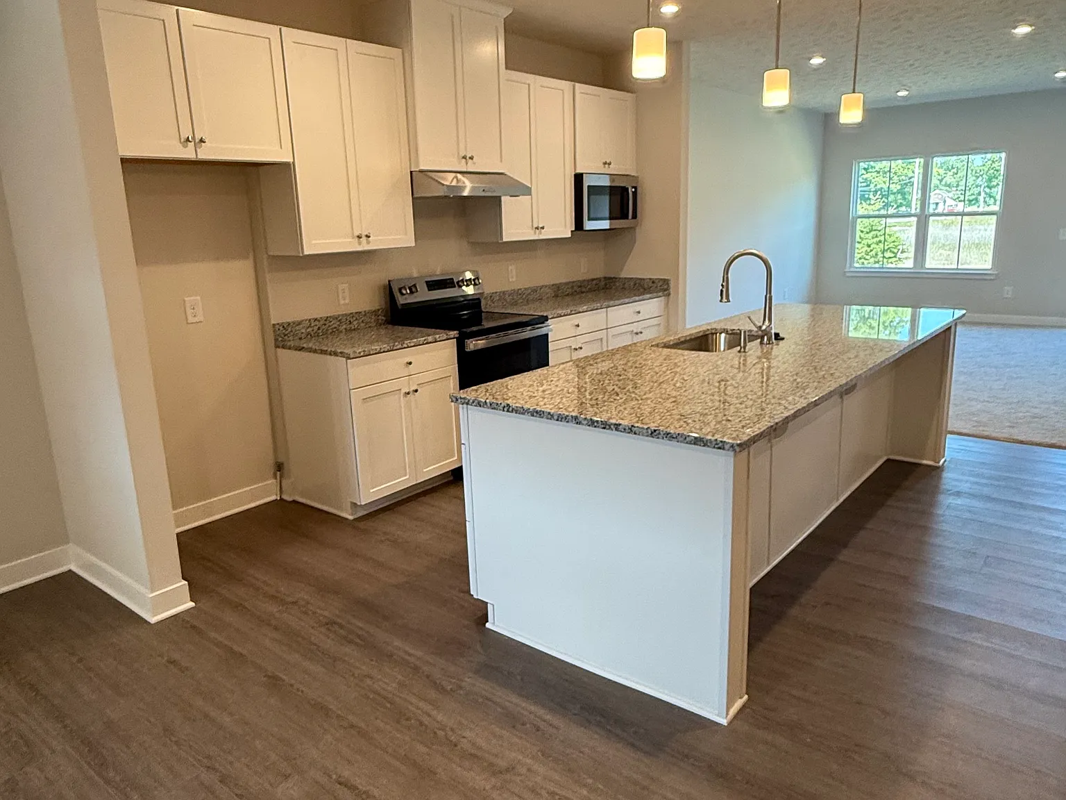 31020 Blooming Ln — Photo 2