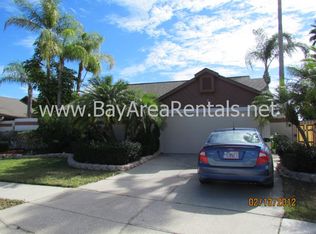10823 Venice Cir, Tampa, FL 33635