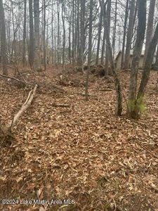 LOT 25 Bent Hickory Ln, Dadeville, AL, 36853
