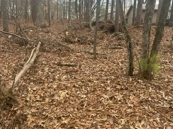 LOT 25 Bent Hickory Ln, Dadeville, AL 36853