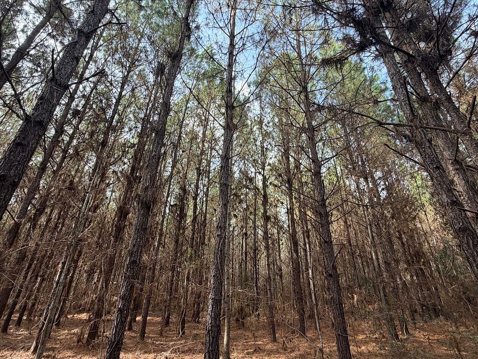 1st image of 5 County Road 239