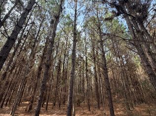 5 County Road 239, New Brockton, AL 36351