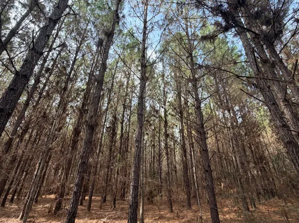 5 County Road 239, New Brockton, AL 36351