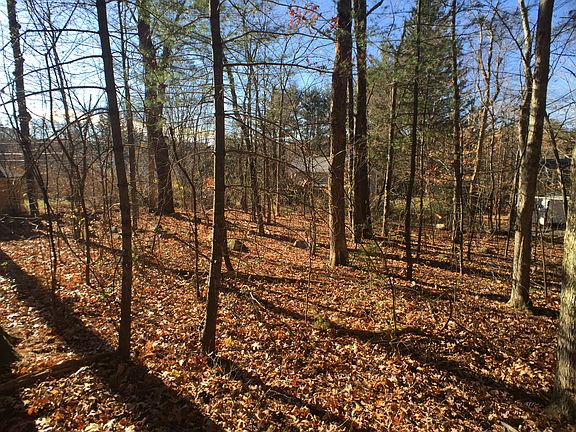 Most trees to be cleared