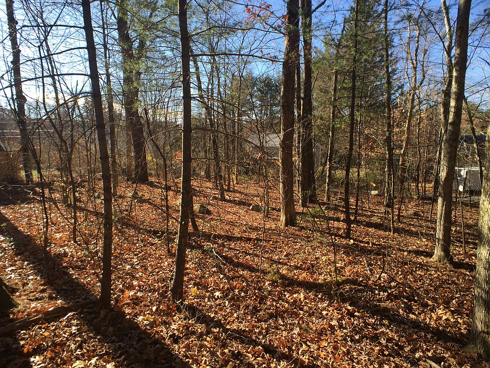 Most trees to be cleared