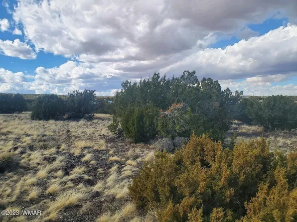 County Road 5166, Concho, AZ 85924
