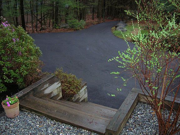 Driveway from Back Steps