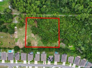 29244 SANIBEL DRIVE LOT 54, WESLEY CHAPEL, FL 33544