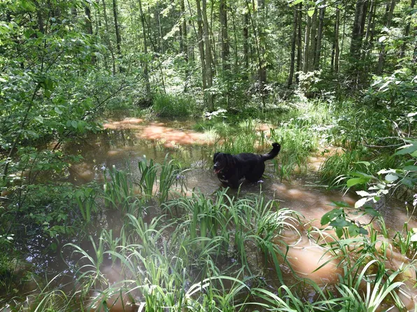 0 Pine Flat Rd, Ashland, WI 54806