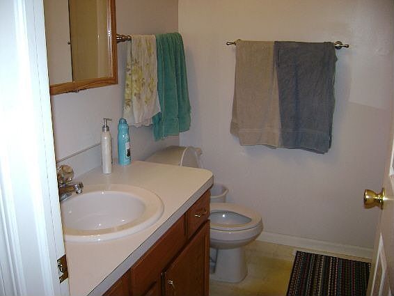 5th image of 1826 Miniature Rose Ln