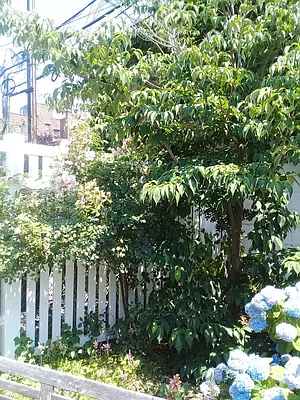 Rented by Brooklyn Property Group LLC | media 66