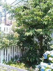 Rented by Brooklyn Property Group LLC