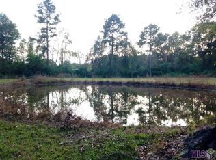 18540 Sybyl Dr, Livingston, LA 70754