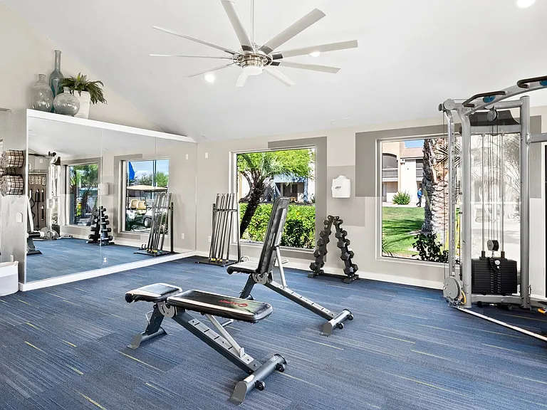 ev up your workout with a diverse selection of weight training gear in our high-energy fitness haven.