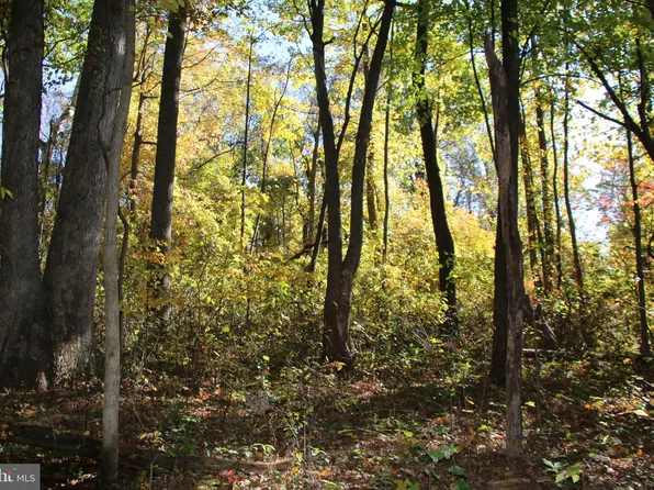 Hidden Valley Ln, Linden, VA 22642