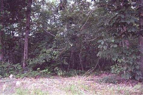 1st image of Unk Dogwood Spgs