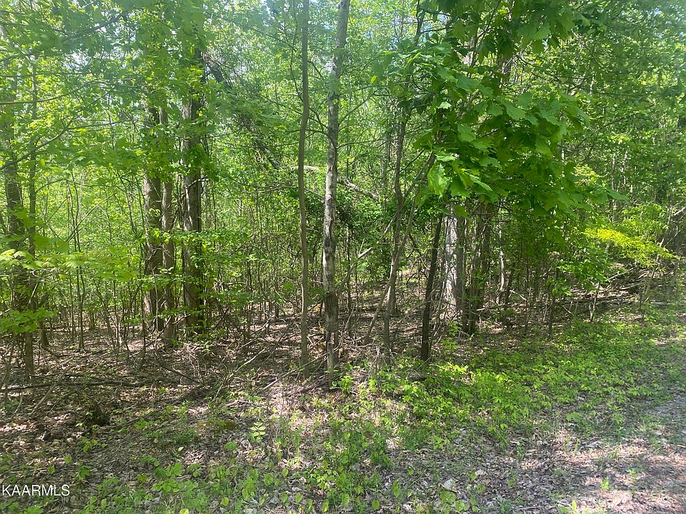 Goins Hill Rd #8, Ten Mile, TN 37880 | MLS #1224944 | Zillow