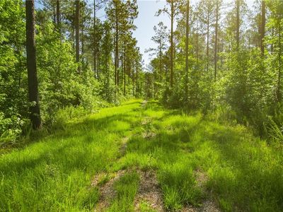 0 Weaver Jones Rd #10A, Rutledge, GA, 30663