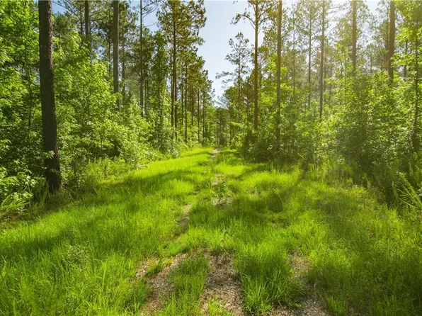 0 Weaver Jones Rd #10A, Rutledge, GA 30663