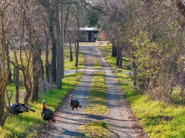 7231 Walnut Ave, Orangevale, CA 95662