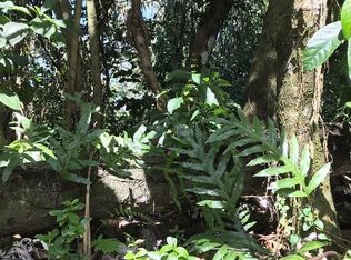 Puni Lani Loop S LOT 1715, Pahoa, HI 96778