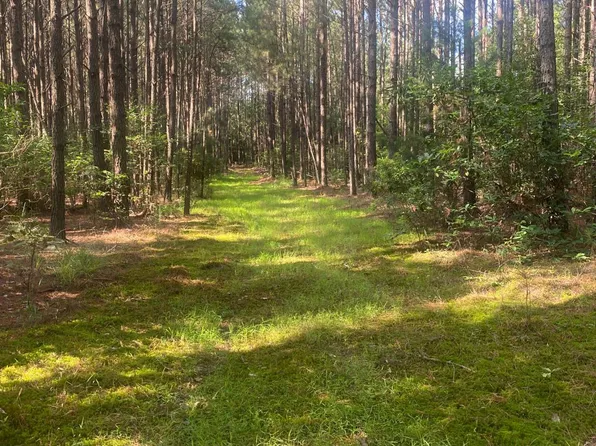 Webb Rd, Spearsville, LA 71277