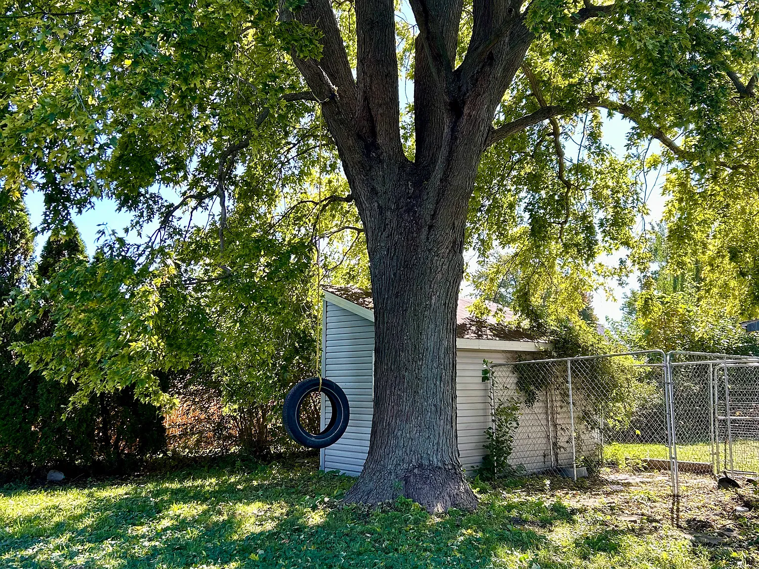 3 bed, 1500 sqft, $1,500 — Photo 3