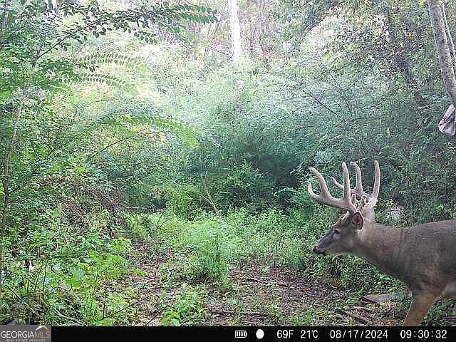 1st image of 1 Seven Islands Rd
