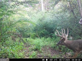 1 Seven Islands Rd, Madison, GA 30650