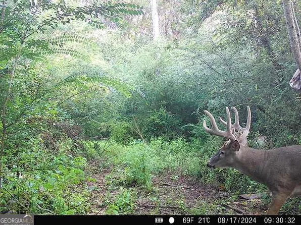 1 Seven Islands Rd, Madison, GA 30650