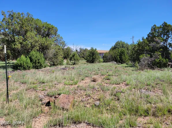 8358 Apache Dr, Show Low, AZ 85901